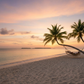 Vacation Timing Guidance